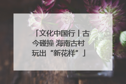 文化中国行丨古今碰撞 海南古村玩出“新花样”