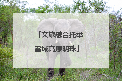 文旅融合托举雪域高原明珠