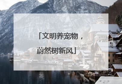 文明养宠物,蔚然树新风