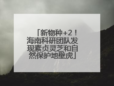 新物种+2！海南科研团队发现素贞灵芝和自然保护地壁虎
