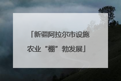 新疆阿拉尔市设施农业“棚”勃发展