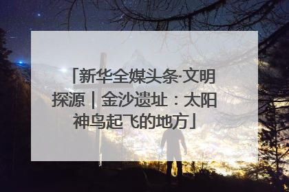 新华全媒头条·文明探源｜金沙遗址：太阳神鸟起飞的地方