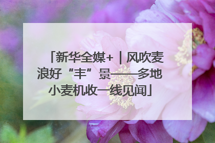 新华全媒+｜风吹麦浪好“丰”景——多地小麦机收一线见闻