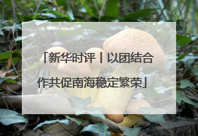 新华时评丨以团结合作共促南海稳定繁荣