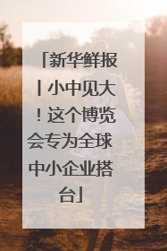 新华鲜报丨小中见大！这个博览会专为全球中小企业搭台