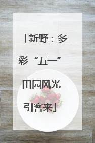 新野：多彩“五一” 田园风光引客来