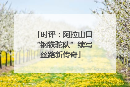 时评：阿拉山口“钢铁驼队”续写丝路新传奇