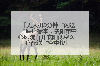 无人机9分钟“闪送“医疗标本，襄阳市中心医院首开襄阳低空医疗配送“空中快