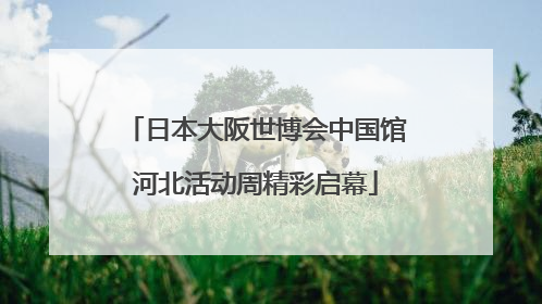 日本大阪世博会中国馆河北活动周精彩启幕
