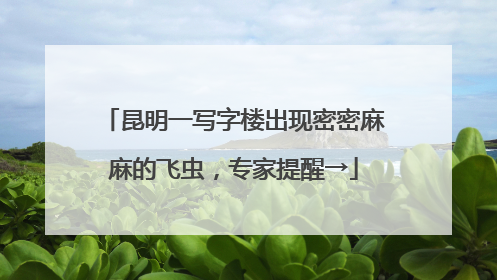 昆明一写字楼出现密密麻麻的飞虫，专家提醒→