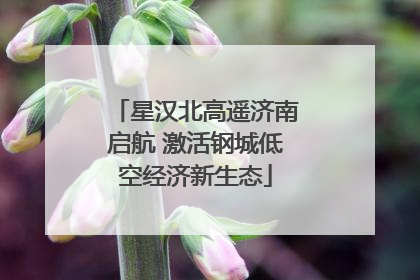 星汉北高遥济南启航 激活钢城低空经济新生态