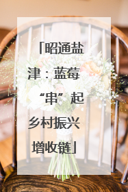 昭通盐津：蓝莓“串”起乡村振兴增收链