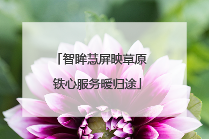智眸慧屏映草原 铁心服务暖归途