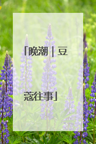 晚潮｜豆蔻往事