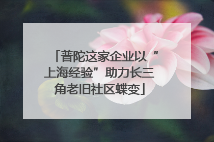 普陀这家企业以“上海经验”助力长三角老旧社区蝶变