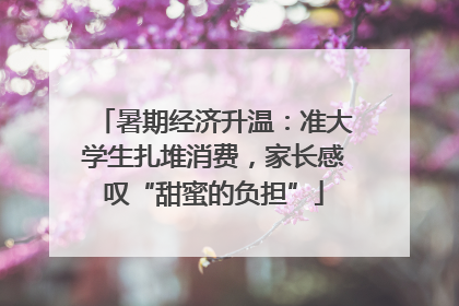 暑期经济升温：准大学生扎堆消费，家长感叹“甜蜜的负担”