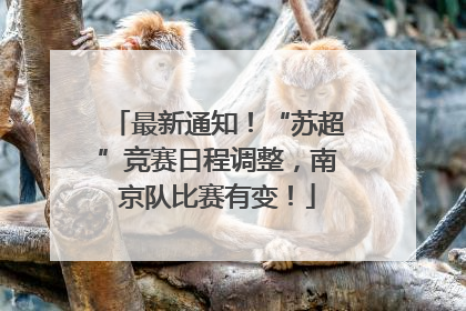 最新通知！“苏超”竞赛日程调整，南京队比赛有变！