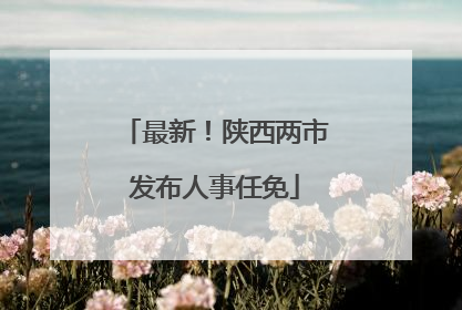 最新！陕西两市发布人事任免