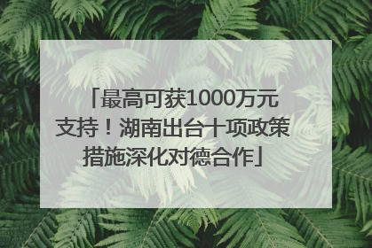 最高可获1000万元支持！湖南出台十项政策措施深化对德合作