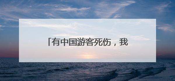 有中国游客死伤，我驻意大利使馆发声