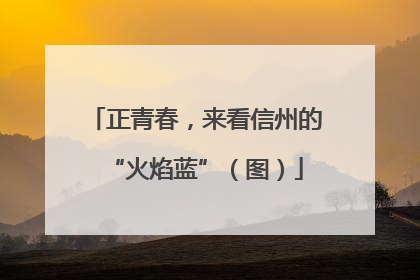 正青春，来看信州的“火焰蓝”（图）