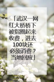 武汉一网红大桥桥下被指圈起来收费，进去100块还必须消费？当地回应