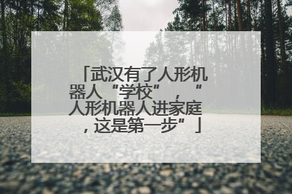 武汉有了人形机器人“学校”，“人形机器人进家庭，这是第一步”