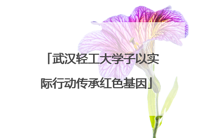 武汉轻工大学子以实际行动传承红色基因