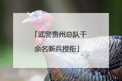 武警贵州总队千余名新兵授衔