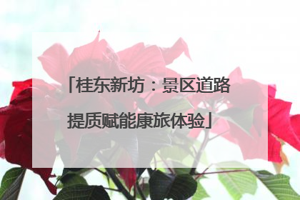 桂东新坊：景区道路提质赋能康旅体验