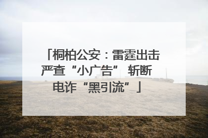 桐柏公安：雷霆出击严查“小广告” 斩断电诈“黑引流”
