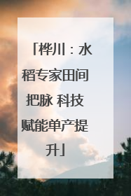 桦川：水稻专家田间把脉 科技赋能单产提升