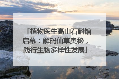植物医生高山石斛馆启幕：解码仙草奥秘，践行生物多样性发展