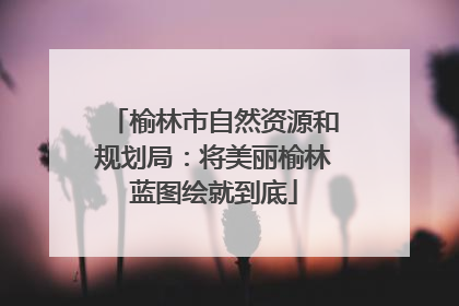 榆林市自然资源和规划局：将美丽榆林蓝图绘就到底