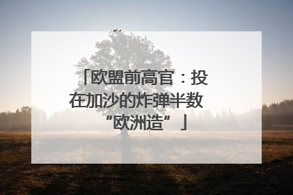 欧盟前高官：投在加沙的炸弹半数“欧洲造”