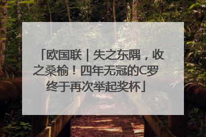 欧国联｜失之东隅，收之桑榆！四年无冠的C罗终于再次举起奖杯