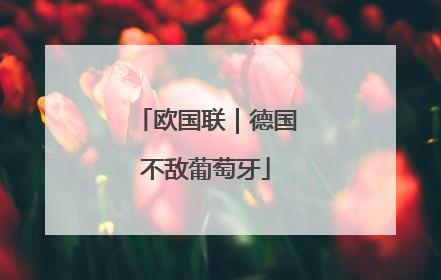 欧国联｜德国不敌葡萄牙