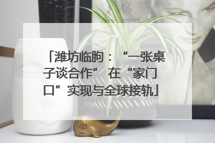 潍坊临朐：“一张桌子谈合作” 在“家门口”实现与全球接轨