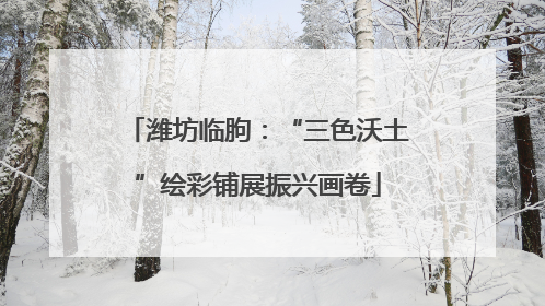 潍坊临朐：“三色沃土”绘彩铺展振兴画卷