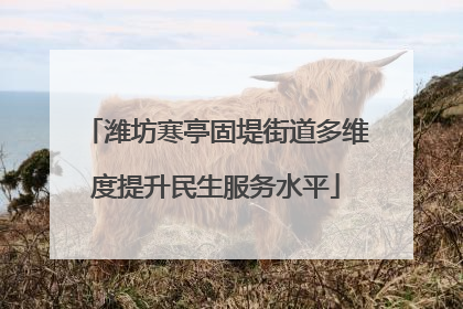 潍坊寒亭固堤街道多维度提升民生服务水平