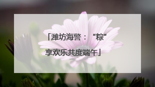 潍坊海警：“粽”享欢乐共度端午