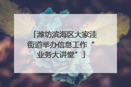 潍坊滨海区大家洼街道举办信息工作“业务大讲堂”