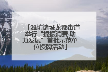 潍坊诸城龙都街道举行“提振消费·助力发展”首批示范单位授牌活动