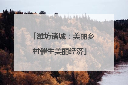 潍坊诸城：美丽乡村催生美丽经济