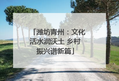 潍坊青州：文化活水润沃土 乡村振兴谱新篇