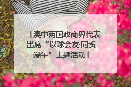 澳中两国政商界代表出席“以球会友·同贺端午”主题活动