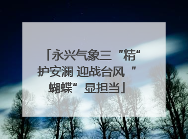 永兴气象三“精”护安澜 迎战台风“蝴蝶”显担当