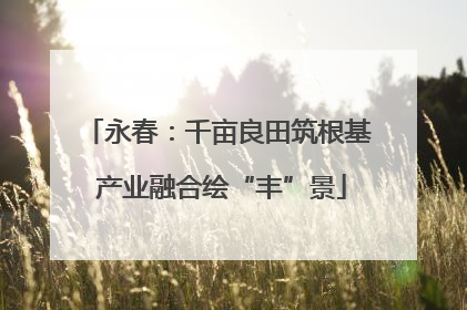 永春：千亩良田筑根基 产业融合绘“丰”景