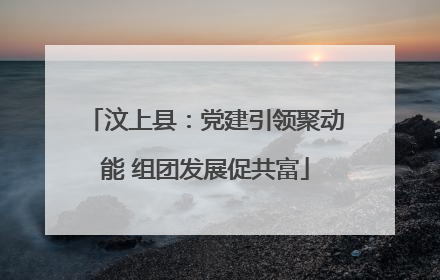汶上县：党建引领聚动能 组团发展促共富