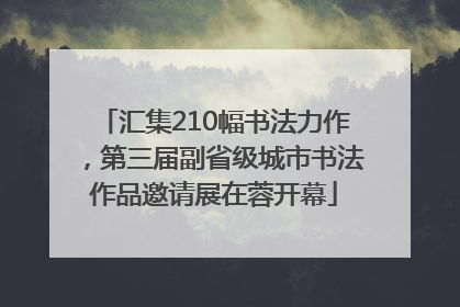 汇集210幅书法力作，第三届副省级城市书法作品邀请展在蓉开幕